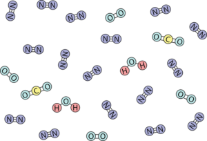 ester hydrolysis